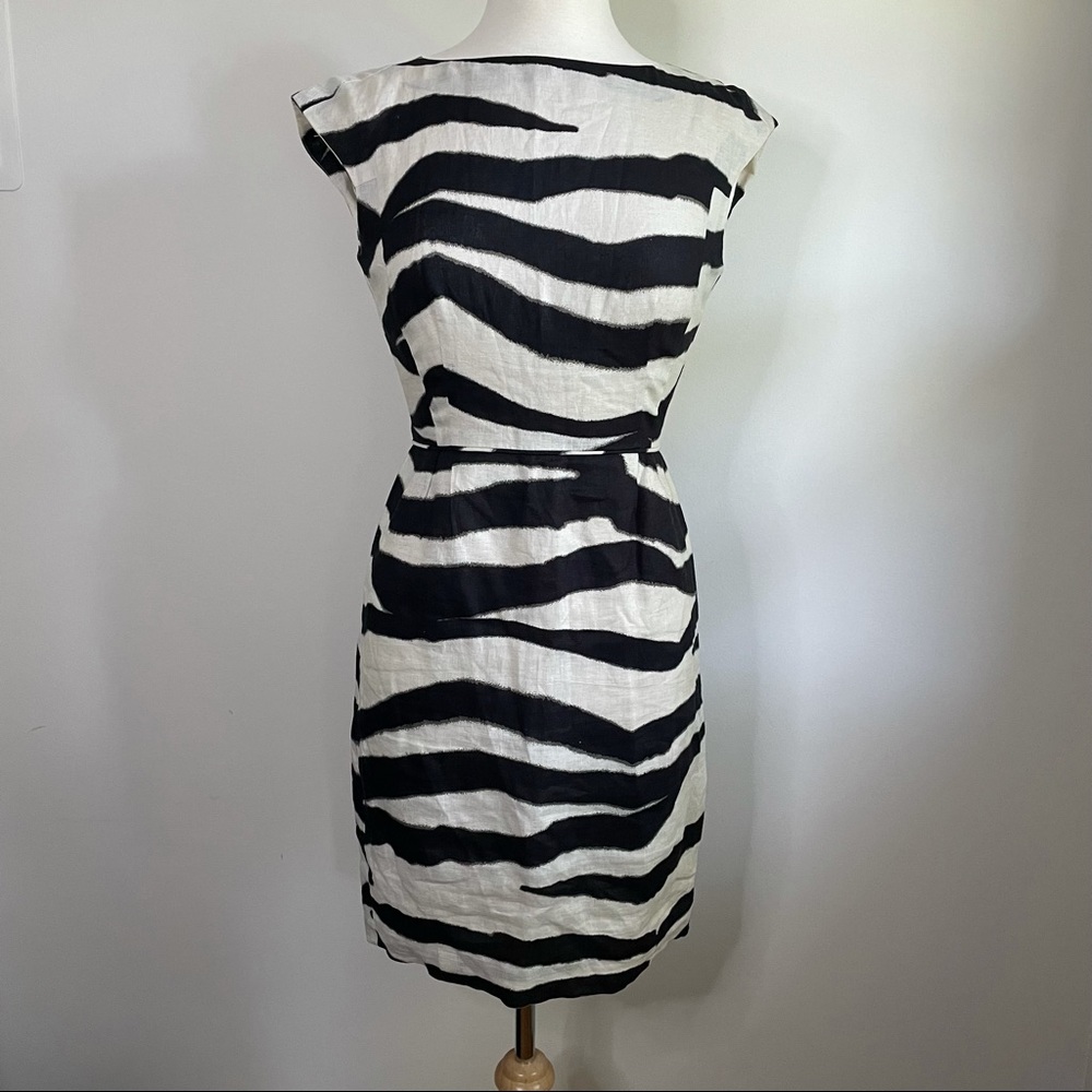 Banana Republic Zebra Print Dress